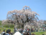 13041407.jpg