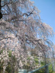 13041408.jpg