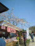 13041411.jpg