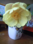 130504.jpg