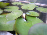 130505.jpg