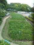 1306252.jpg