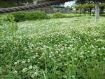 1307031.jpg