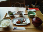 1308142.jpg