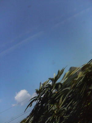 夏。とは。