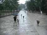 CIMG0555.JPG