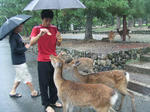 DSCF2770.JPG