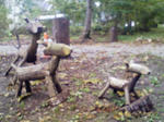 200710201240000.jpg