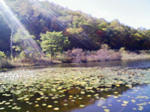 200710211202000.jpg