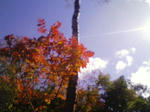 200710211210000.jpg