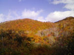 200710211244000.jpg
