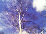 200711041312000.jpg