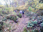 200711041416000.jpg