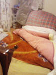 200712030002000.jpg
