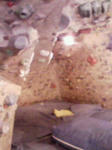 200801021539000.jpg