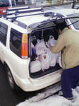 200803011531000.jpg