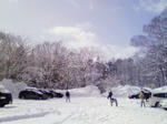 200803021001000.jpg