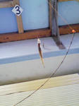 200803090909000.jpg