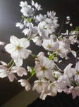 200804121835000.jpg