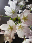 200804121836000.jpg