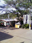 200805031556000.jpg