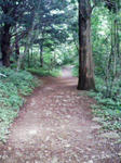 200807121200000.jpg