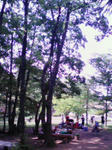 200807191429000.jpg