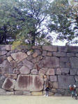 200811021103000.jpg