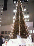 200811211803000.jpg