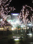 200812141903000.jpg