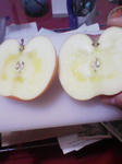 200812212321000.jpg
