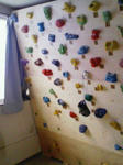 200901041315000.jpg