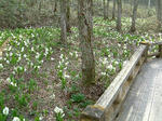 DSCF0010.JPG