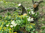 DSCF0001.JPG