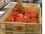 P000375.JPG