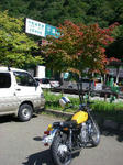 IMGP1453.JPG
