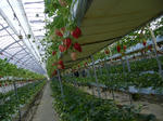 P1000927.JPG