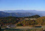 P1020007.JPG