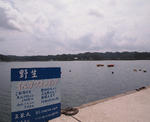 P8131059.JPG
