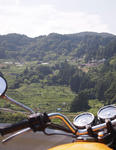 P8151088.JPG