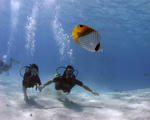 IMG_0857.JPG