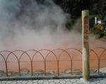 DSCN1606.JPG