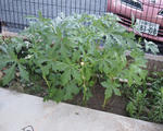 P8143453.JPG