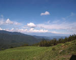 P8263585.JPG