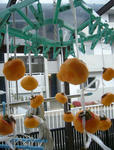 P1050004.JPG