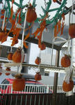 P1050028.JPG