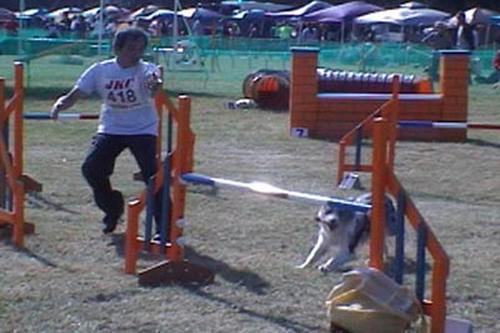 uvs071008-jp2.jpg