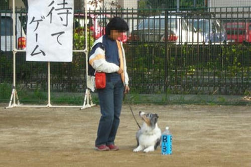 DSCN2087_1.jpg