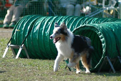DSC_1384_n.jpg