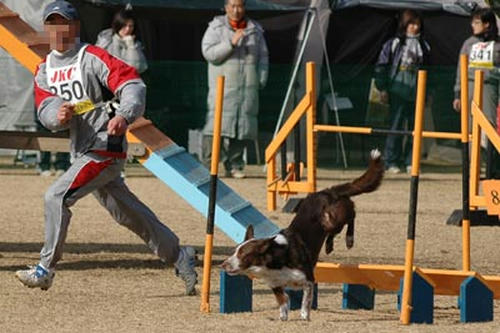 DSC_1667ranmaru.jpg